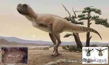 Dinosaurs: 16ft long beast roamed Brazil 70 million years ago