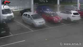 Furti in auto a Bologna e Modena, tre arresti - Emilia-Romagna - Agenzia ANSA