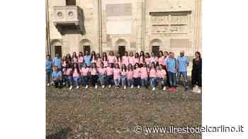 La Volley Academy Modena punta al salto di qualità - il Resto del Carlino