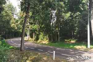 Fietssuggestiestroken in de Sportlaan - Het Belang van Limburg