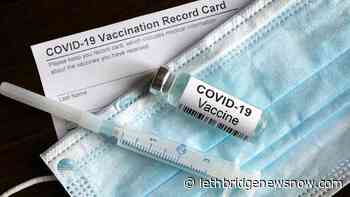 AHS reports 34 COVID deaths in one day in Alberta - Lethbridge News Now