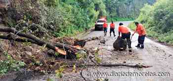 Atienden colapso de cerro en Buena Vista del Monte, Cuernavaca - Diario de Morelos