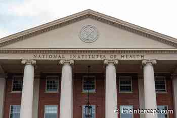 NIH Bat Coronavirus Grant Report Was Submitted More Than Two Years Late - The Intercept