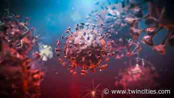 Coronavirus Friday update: 3,714 new cases and 17 more deaths - TwinCities.com-Pioneer Press