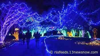 Million Bulb Walk is back! Tickets for the Christmas display go on sale Friday