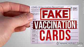 Department of Health asking New Yorkers to report fake vaccine cards