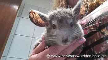 UNA Tierrettungsnotdienst - Rekordzahl an Einsatzanrufen in Dobel - Schwarzwälder Bote