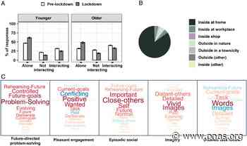 The impact of social isolation and changes in work patterns on ongoing thought during the first COVID-19 lockdown in the United Kingdom - pnas.org