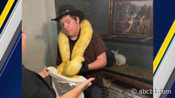 Charges pending after deputies find 15 snakes in 'terrible' shape at home in Tarboro