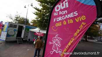 Arras: au congrès de l'Association des donneurs d'organes, le musée de la chirurgie ouvert au public - La Voix du Nord