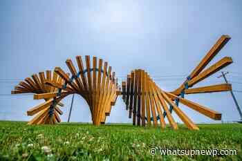 Jamestown Arts Center seeking proposals for Outdoor Arts Experience 2022 Biennial: Passages - What'sUpNewp