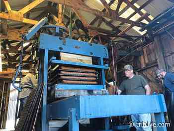 Apple'n Arts Festival returns to Delmont this weekend - TribLIVE