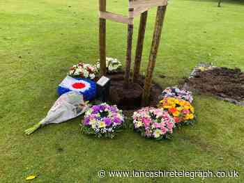 First of 15 cherry blossoms to commemorate Burnley Covid-19 deaths planted