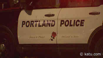 Multnomah Co. Medical Examiner seeks help to ID Southeast Portland hit-and-run victim - KATU