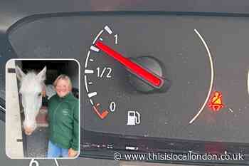Orpington mum has petrol tank sawed and fuel stolen from car