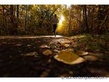 Edmonton weather: More daytime sun, crisp nights inspire foliage masterpiece