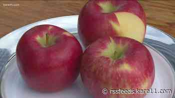 Grow with KARE: Top five favorite apples