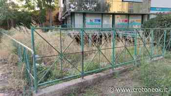 Crotone, una storia "nascosta" dall'erba e rifiuti - CrotoneOK.it