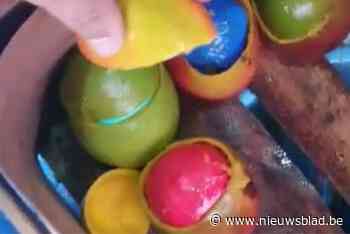 Bijna 700 kilo cocaïne in uitgeholde mango’s: “Bestemd voor haven van Antwerpen”