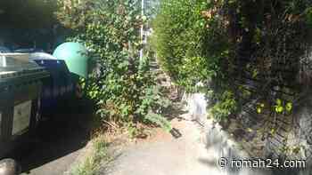 Via Bradano, l'erba cresce libera e invade i marciapiedi: disagi anche nei paraggi - Trieste-Salario - romah24.com