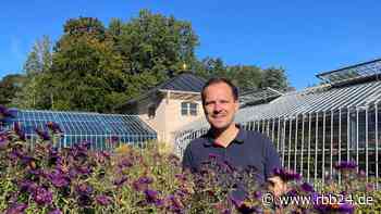 Chefgärtner des Pückler-Parks Branitz in Cottbus wechselt nach Dresden - rbb24