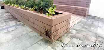 Piazza della Libertà: l'angolo dei... cani. Erba ok, arriva giardiniere (VIDEO) - anteprima24.it