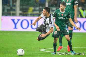Pedullà: “Il Parma non è pronto” - Forza Parma
