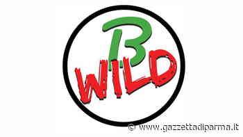 B-Wild - Gazzetta di Parma