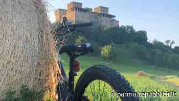 Ai Musei del Cibo in bicicletta: quattro tour con Fiab Parma - La Repubblica