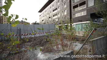 Nuova vita in arrivo per l'ex Stu Pasubio - Gazzetta di Parma