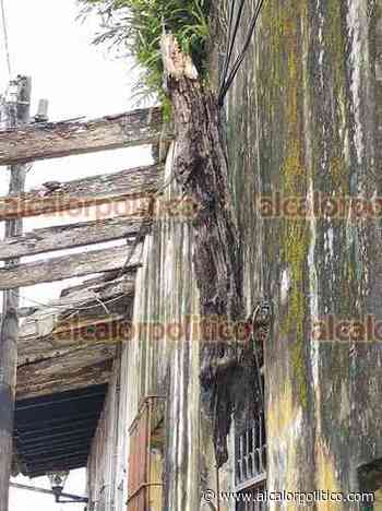 Casonas en abandono representan riesgos para peatones, en Coatepec - alcalorpolitico