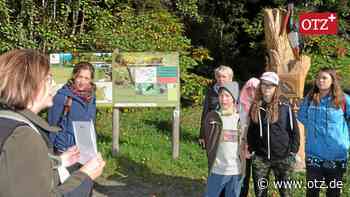 Zwischen Rinderhaut am Seil und Urwaldpfad in Hirschberg - Ostthüringer Zeitung