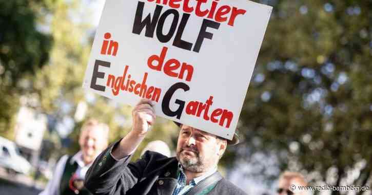 Streit um den Wolf: Bauern demonstrieren in München