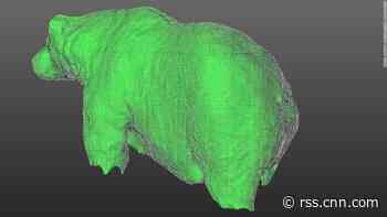 Is that bear fat or just chonky? Lasers may help scientists find out
