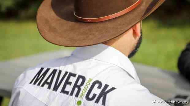 'Run everywhere': Fledgling Maverick Party intends to up its game after poor results