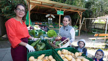 Selbstanbau und Gemüsekisten liegen derzeit im Trend - Merkur Online