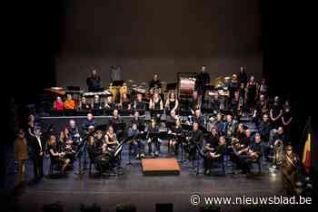 Vrije Belgen zetten hun liefde voor muziek in de verf - Het Nieuwsblad