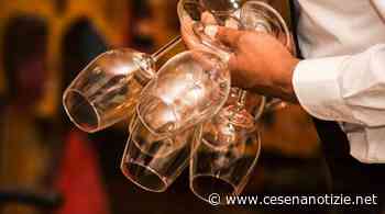 Al via “Vino al Vino” a Bertinoro, la due giorni dedicata all’Albana - cesenanotizie.net