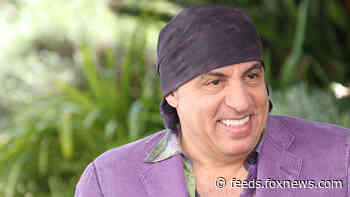 Steven Van Zandt on South African activism: 'We did light that spark'