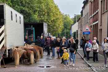 Ouders en vooral kinderen aan het feest