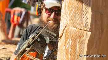 Europameisterschaft in Sachsen - Mit Kettensägen um die Wette schnitzen - BILD