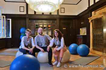 Neue Energie für alte Fabrikantenvilla - Freie Presse