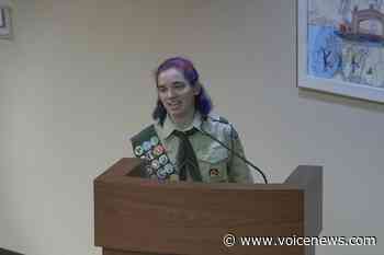 Blue Water Area’s first female Eagle Scout builds pavilion in St. Clair Twp. - New Baltimore Voice Newspapers