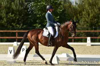 Jori Klein kan verjaardagscadeau uit de kast halen: 'Ik ken inmiddels de gebruiksaanwijzing' - Horses.nl