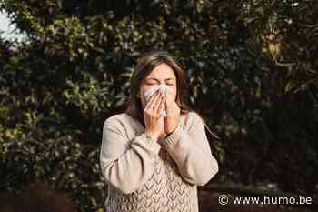 Iedereen die wil kan nu een griepprik bij de apotheker halen: goed idee of niet? - Humo The Wild Site