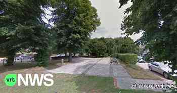 Diest wil met 'tegelwippen' milieunormen halen: "Meer gras in plaats van tegels" - VRT NWS
