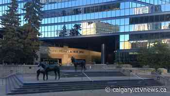 27 candidates vying to become Calgary's next mayor. Where do they stand? | CTV News - CTV Toronto