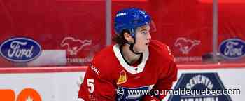 Cale Fleury et Gustav Olofsson ne convainquent pas le Kraken