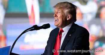 Trump Asks Judge to Reinstate His Twitter Account, Says Company Was 'Coerced' Into Banning Him