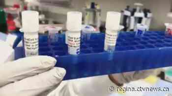 Sask. reports 480 new COVID-19 infections, 8 deaths